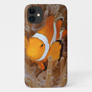 Clownfish - Molokai, North Shore Cliff Case-Mate iPhone Hülle