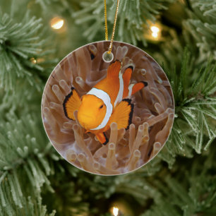 Clownfish - Molokai, North Shore Cliff Keramik Ornament