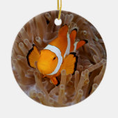 Clownfish - Molokai, North Shore Cliff Keramik Ornament (Vorne)