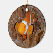 Clownfish - Molokai, North Shore Cliff Keramik Ornament (Links)