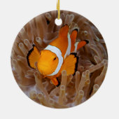 Clownfish - Molokai, North Shore Cliff Keramik Ornament (Hinten)