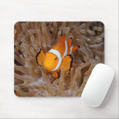 Clownfish - Molokai, North Shore Cliff Mousepad (Mit Mouse)