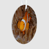 Clownfish - Molokai, North Shore Cliff Ornament (Vorderseite)