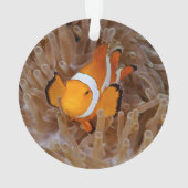 Clownfish - Molokai, North Shore Cliff Ornament (Rückseite)