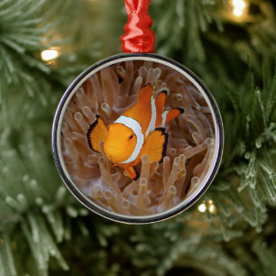 Clownfish - Molokai, North Shore Cliff Ornament Aus Metall