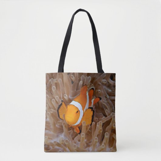 Clownfish - Molokai, North Shore Cliff Tasche (Vorderseite)