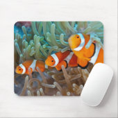 Clownfish Mousepad (Mit Mouse)