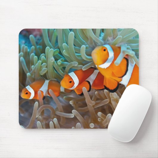 Clownfish Mousepad (Mit Mouse)