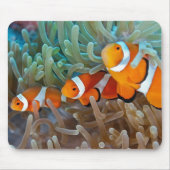 Clownfish Mousepad (Vorne)