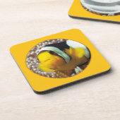 Clownfish - Nah-up! Rundfotografie | Getränkeuntersetzer (Linke Seite)