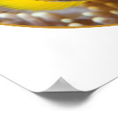 Clownfish - Nah-up! Rundfotografie | Poster (Ecke)