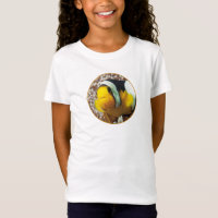 Clownfish - Nah-up! Rundfotografie |