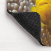 Clownfish - Nah-up! So niedlich - Nemo in Anemone  Mousepad (Ecke)