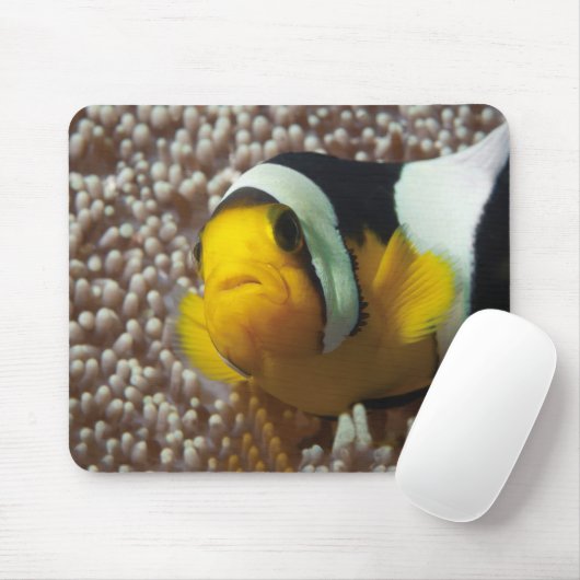 Clownfish - Nah-up! So niedlich - Nemo in Anemone  Mousepad (Mit Mouse)