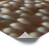 Clownfish - Nah-up! So niedlich - Nemo in Anemone Poster (Ecke)