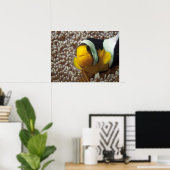 Clownfish - Nah-up! So niedlich - Nemo in Anemone Poster (Heimbüro)