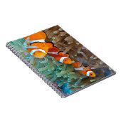 Clownfish Notizblock (Rechte Seite)