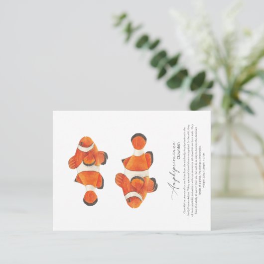 Clownfish Postkarte (Stehend Vorderseite)