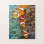 Clownfish Puzzle (Vertikal)