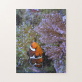 Clownfish Sea Anemone Coral Underwater Foto Puzzle (Vertikal)