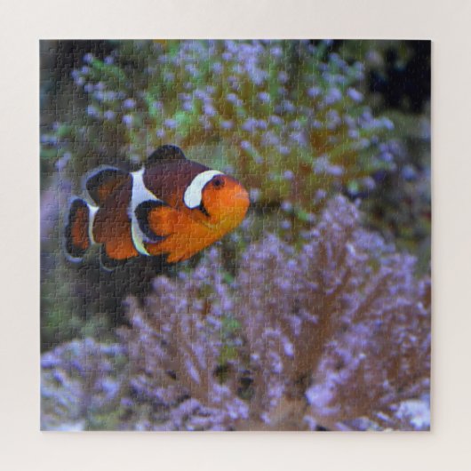 Clownfish Sea Anemone Korallenfotografie Puzzle (Vertikal)