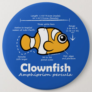Clownfish Statistiken Button