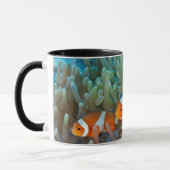 Clownfish Tasse (Links)