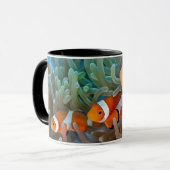 Clownfish Tasse (Vorderseite Links)