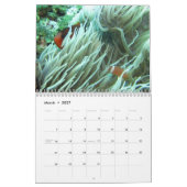 Clownfish von Kalender Fidschis 2015 (Mär 2027)