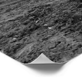 Clowning Around: 1915 Poster (Ecke)