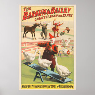 Clowns mit auftretenden Gänsen, Hähnen und Esel. Poster