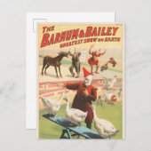 Clowns mit Darstellenden Gänsen, Roosters & Donkey Postkarte (Vorne/Hinten)