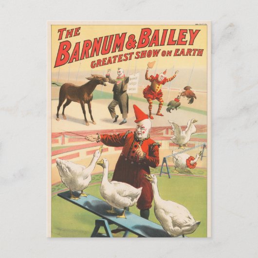 Clowns mit Darstellenden Gänsen, Roosters & Donkey Postkarte (Vorderseite)