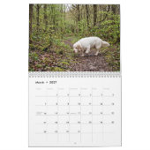 Clumber Spaniel 2027 Wandkalender (Mär 2027)