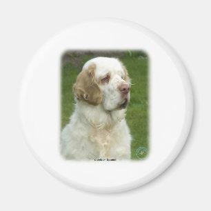 Clumber Spaniel 9Y003D-101 Magnet