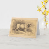 Clumber Spaniel-allgemeine Gruß-Karte Karte (Gelbe Blume)