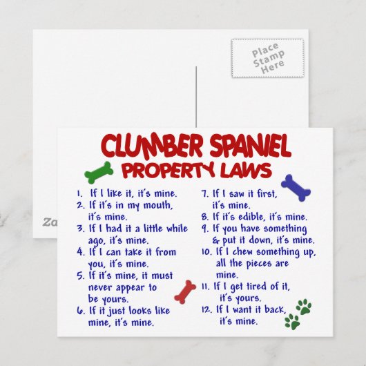 CLUMBER SPANIEL-Eigenschaftengesetze 2 Postkarte (Vorne/Hinten)