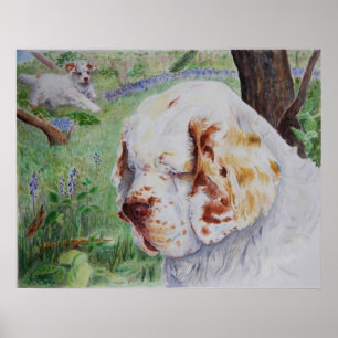 Clumber Spaniel - Frühlings-Walddruck Poster