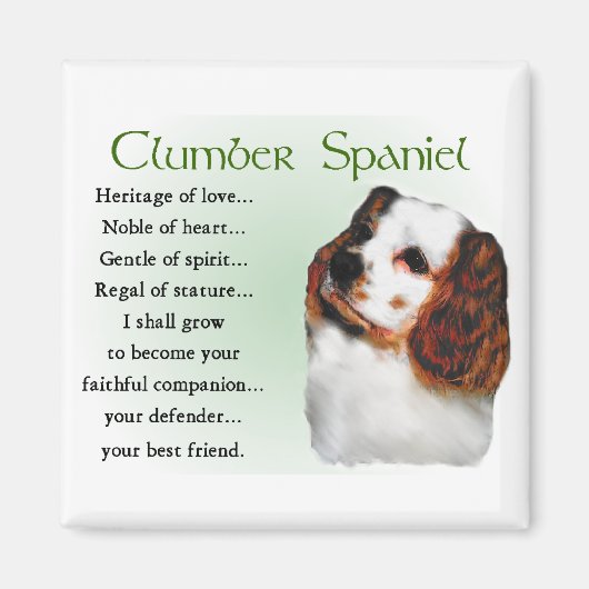 Clumber Spaniel Geschenke Magnet (Vorne)