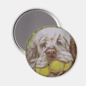 Clumber Spaniel Magnet (Vorderseite/Rückseite)