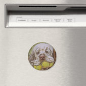 Clumber Spaniel Magnet (In Situ (Geschirrspüler))