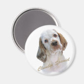Clumber Spaniel Magnet (Vorderseite/Rückseite)