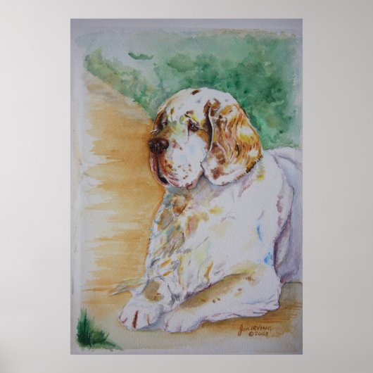 Clumber Spaniel - My Friend Print Poster (Vorne)