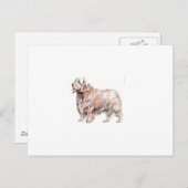Clumber Spaniel Postkarte (Vorne/Hinten)