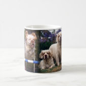Clumber Spaniel-Tasse Kaffeetasse (Mittel)