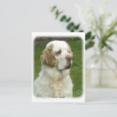 Clumber Spanisch 9Y003D-101 Postkarte (Stehend Vorderseite)