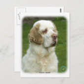 Clumber Spanisch 9Y003D-101 Postkarte (Vorne/Hinten)