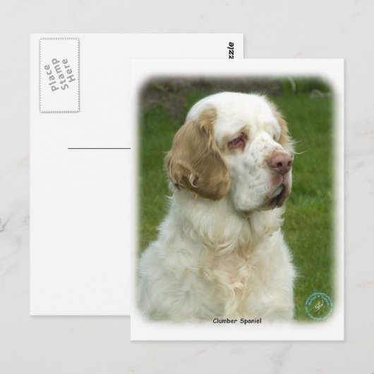 Clumber Spanisch 9Y003D-101 Postkarte (Vorne/Hinten)