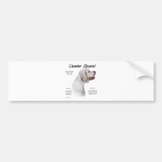 Clumber Spanisch History Design Autoaufkleber (Vorne)