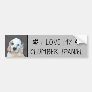 Clumber Spanischmalerei - Niedliche Original Dog A Autoaufkleber